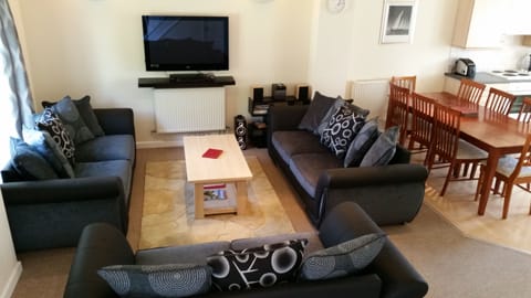 CLEAN NEW AND MODERN SOFA AREA IN LIVING AREA