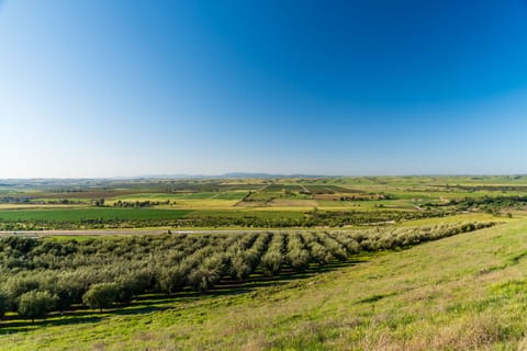 Views in every direction can't be beat