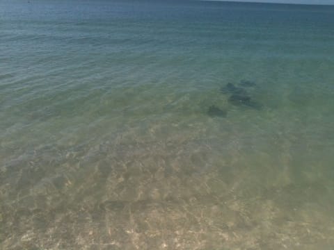 On the beach, sun loungers, beach towels