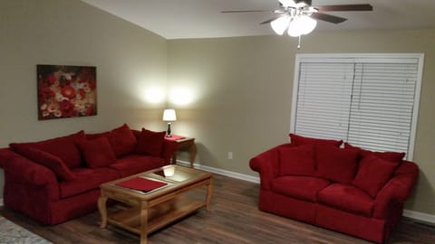 TV, fireplace, books