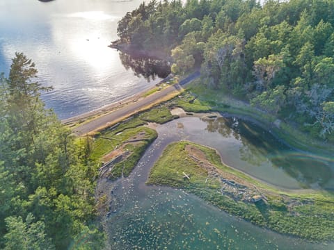 The Isthmus at Davison Head, just a 5 minute walk from this home