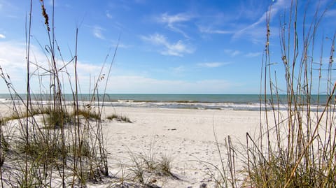 Beach nearby, beach towels