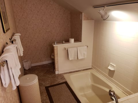 Combined shower/tub, hair dryer, towels, soap