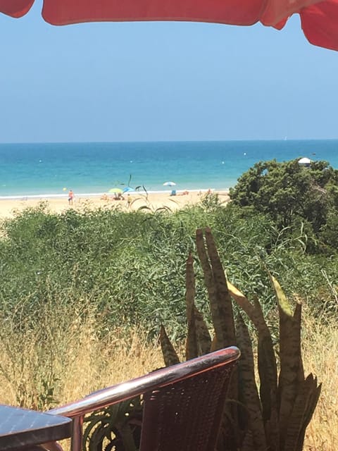 Beach nearby, sun loungers