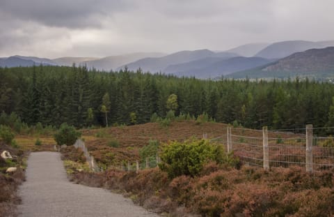 Across the moor on the Badenoch Way