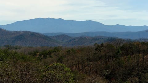 View of Mount Le Conte.