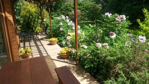 Patio and garden in spring