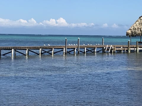 On the beach, sun loungers, beach towels