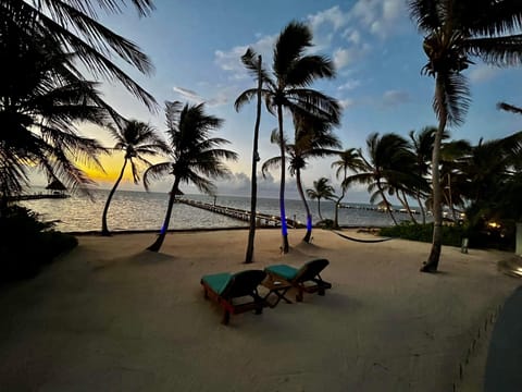 On the beach, sun loungers, beach towels