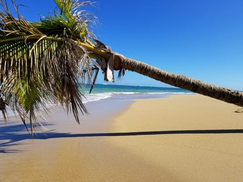 Sun loungers, beach towels