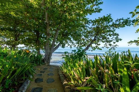 On the beach, sun loungers, beach towels