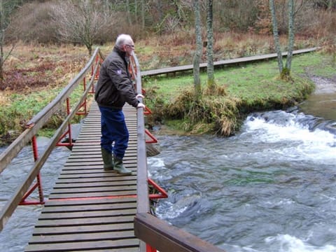 Overal wandelroutes met bruggetjes over de Amblève