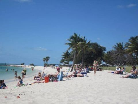 Beach nearby, sun loungers, beach towels