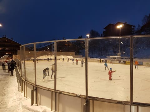 Snow and ski sports