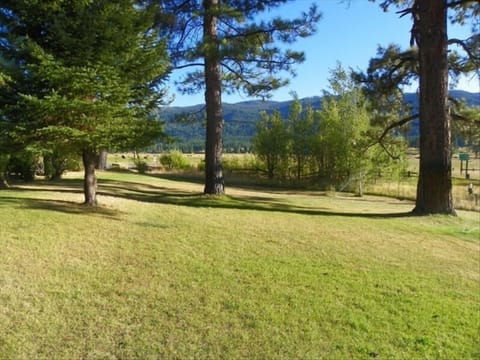 an acre of yard to play volleyball or football!