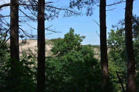 Surroundings [summer] (1-5 km)