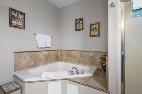 Combined shower/tub, jetted tub, hair dryer, towels