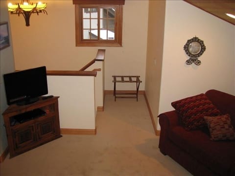 TV, fireplace, DVD player, video library