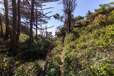 Pass through a gate in the yard right onto the dedicated beach trail.