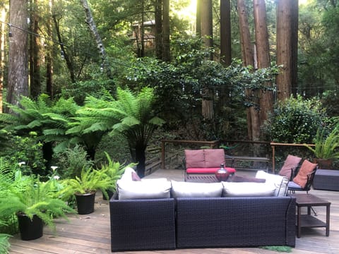 Seating Area on Front Deck wth Fire Pit
