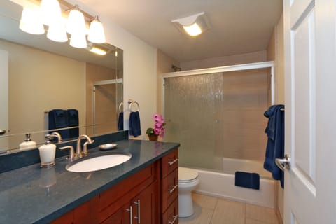 Newly remodeled bathroom with lots of storage for toiletries