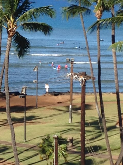 Watching morning surfers from the lanai