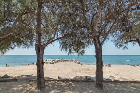 On the beach