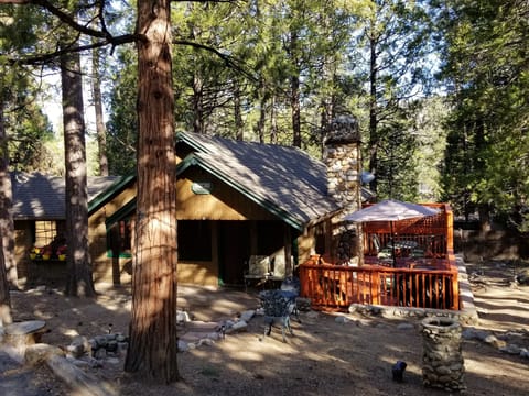 Cabin in the woods under the pines.