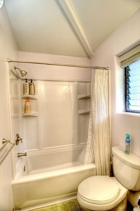 Combined shower/tub, hair dryer, towels, soap