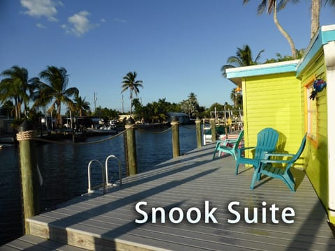 Snook Suite