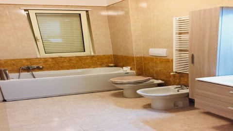 Combined shower/tub, jetted tub, hair dryer, towels