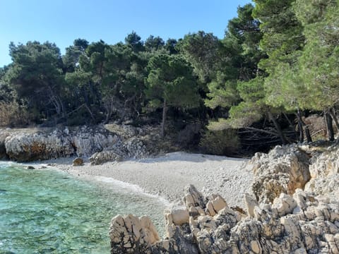 On the beach, sun loungers