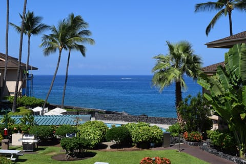 Lush tropical foliage decorate the landscape.
"Photo take from our Lanai"