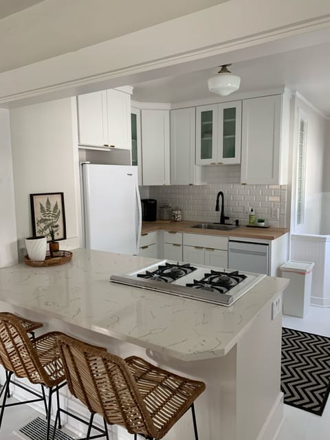 January 2020 kitchen remodel