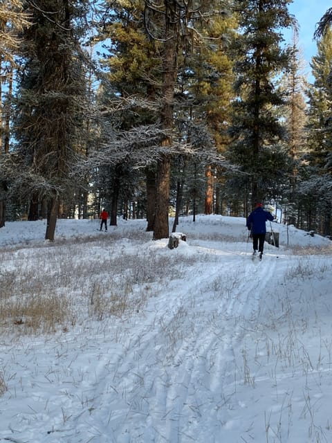 Snow and ski sports