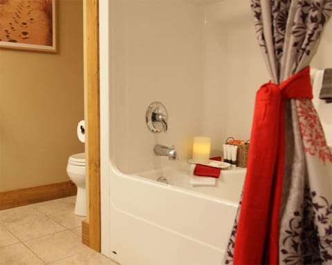 Combined shower/tub, hair dryer, towels, soap