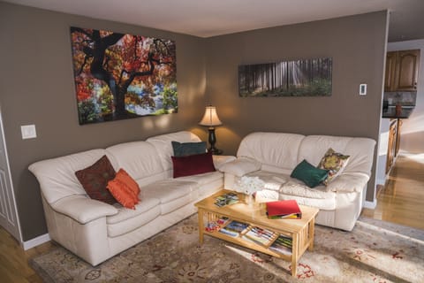 Living area | Smart TV, fireplace, video games, books