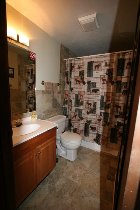 Combined shower/tub, hair dryer, towels, toilet paper