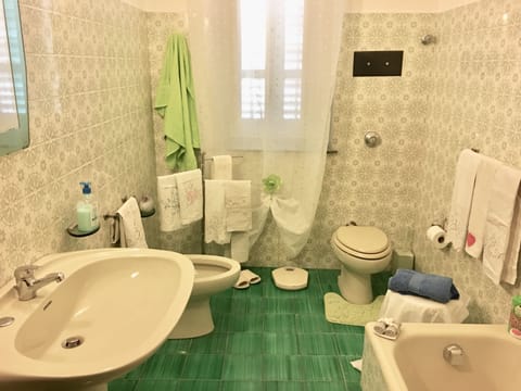 Combined shower/tub, hair dryer, bidet, towels