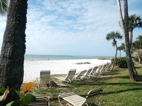 On the beach, sun loungers, beach towels