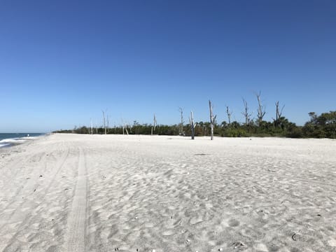 On the beach, sun loungers, beach towels