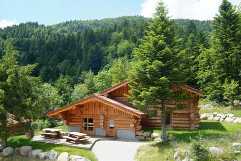 Location Chalet en rondin grande capacité La Bresse Vosges