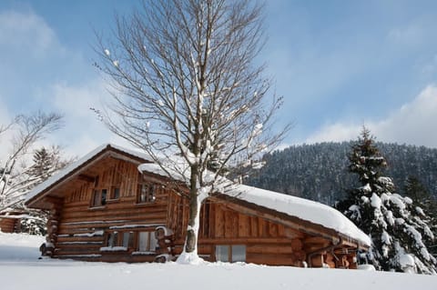 Location chalet en rondin grande capacité hiver neige La Bresse Vosges