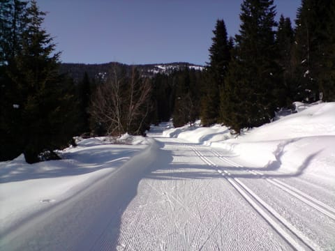 Snow and ski sports