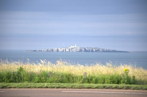 view to Farne Islands