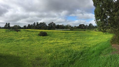 View in spring to home from road
