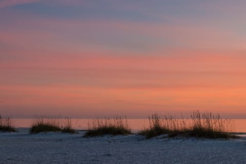 On the beach