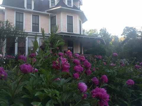 Honeysuckle Cottage shares gardens with Agate Hill