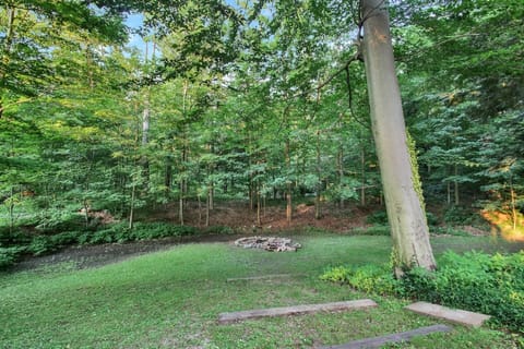 Have a fire and roast marshmallows!