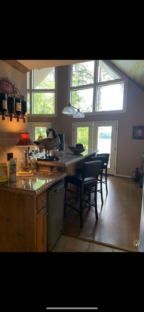 kitchen/bar view